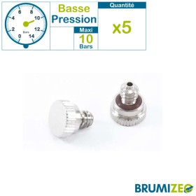 Buse brumisation 0,2mm