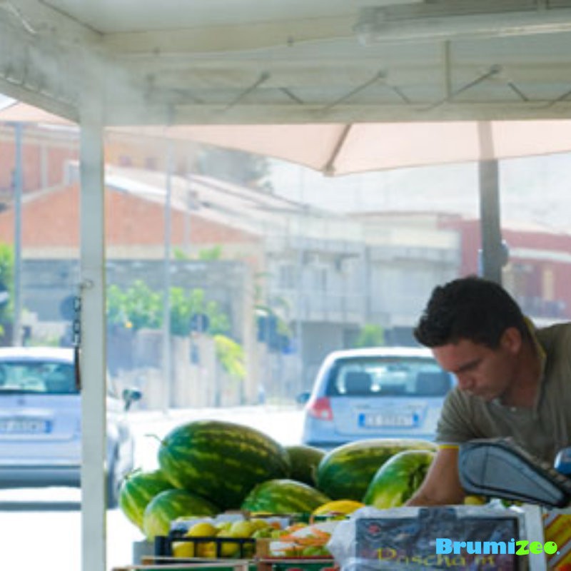 BRUMIZEO BRUMIBOX rafraichissement pour fruits et légumes