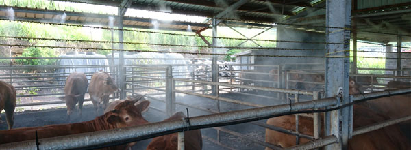 Milkroom