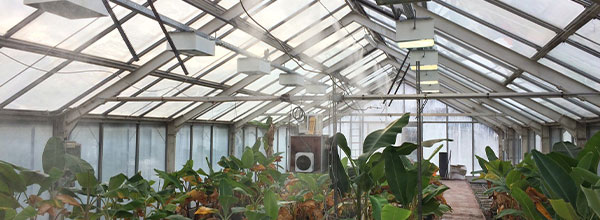 Greenhouse